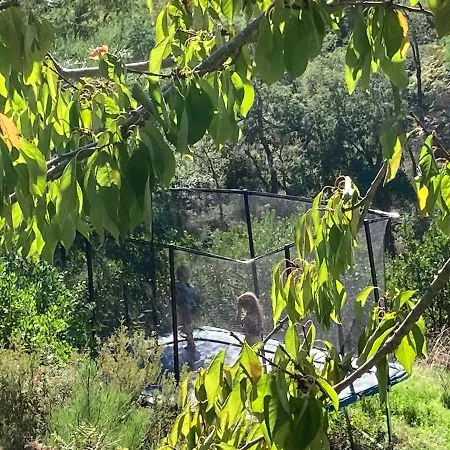 Jardim Dos Mil Gostos Covoes
