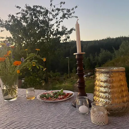 Jardim Dos Mil Gostos Covoes Κάμπινγκ Sertã